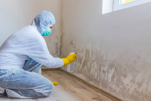 Mold inspector in Friendship performing thermal imaging