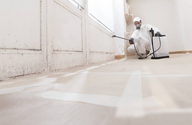 Black mold remediation team in Friendship